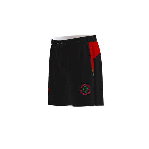 Lalor Stars Training Short - Image 2